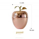 copper-apple-zarmes